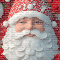 3D-CHR-19 Santa Claus FaceTumbler Wrap