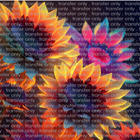 3D-FLW-29 Bold Sunflowers Tumbler Wrap