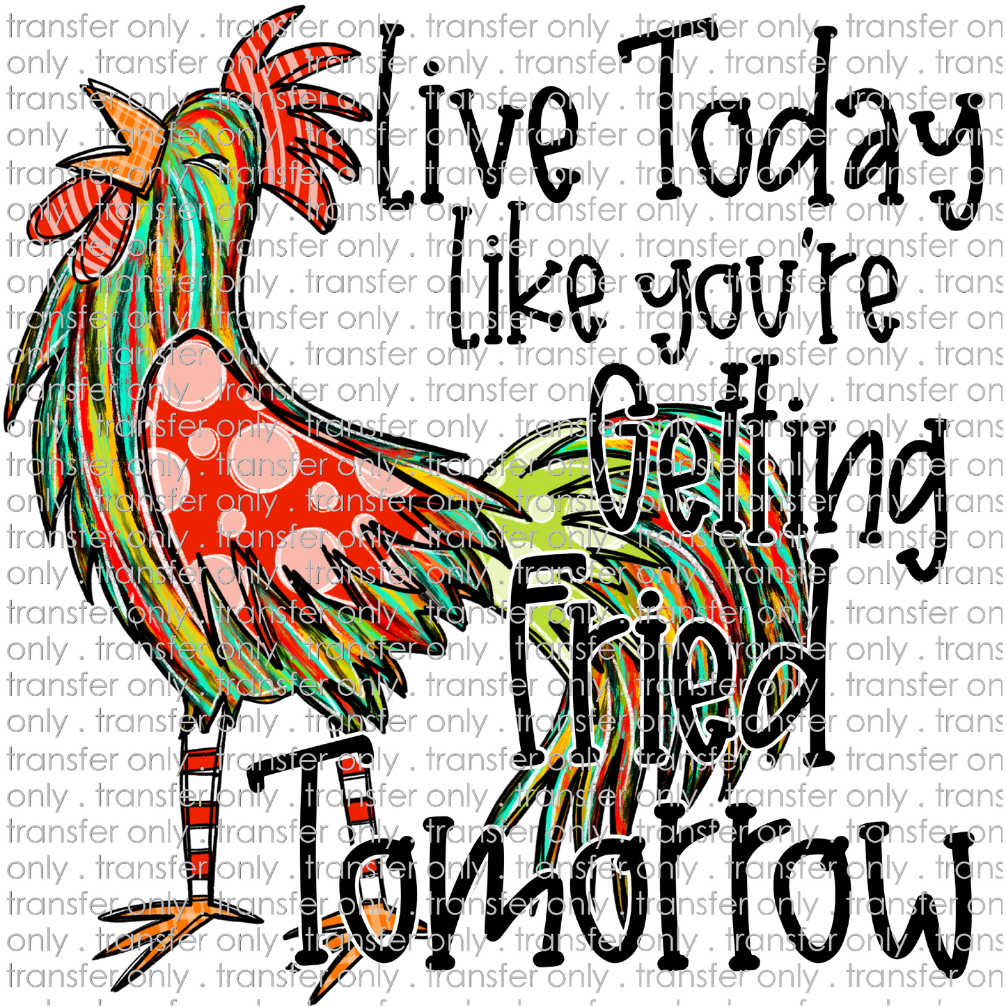 ANM 72 Colorful Chicken Live Today Fried Tomorrow