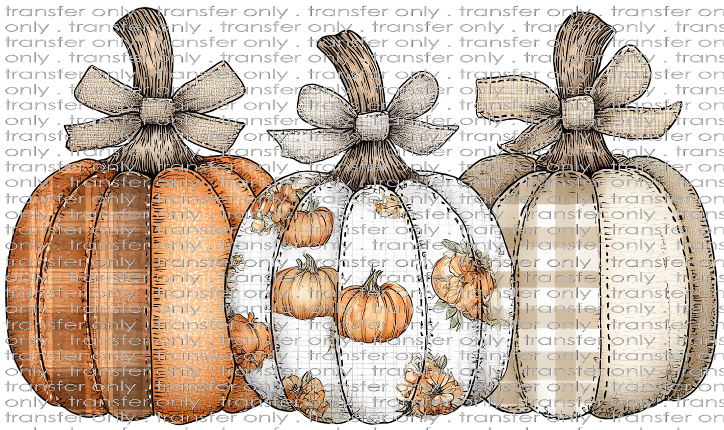 FALL 625 Pumpkin Trio