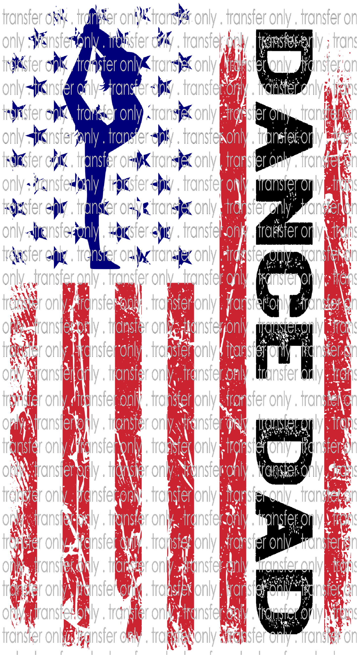 FAM 215 Dance Dad Flag