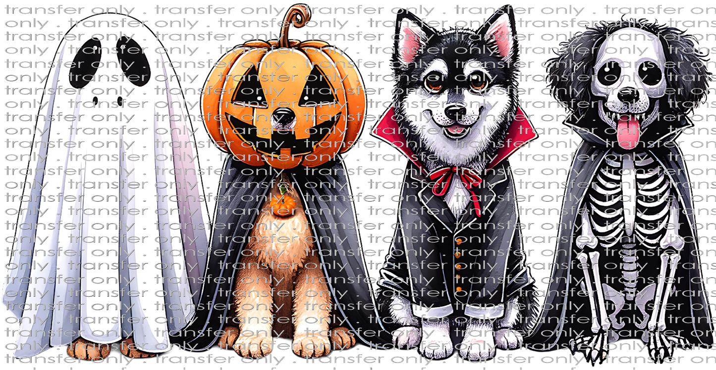 **HAPPY HOUR**HALLO 377 Halloween Dogs in Costume
