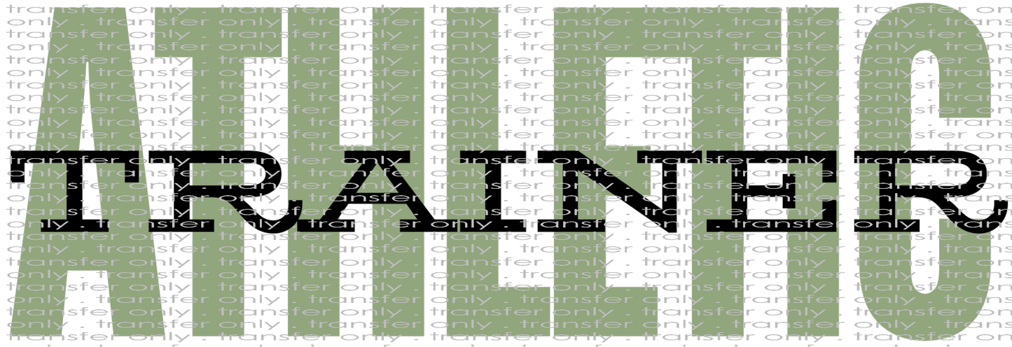 PROF 98 Athletic Trainer