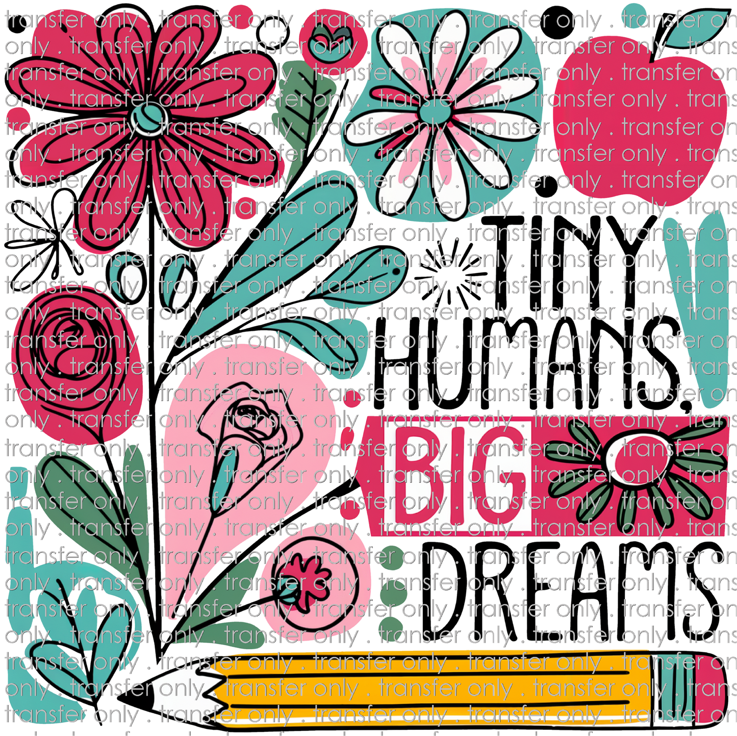 SCH 2064 Tiny Humans Big Dreams