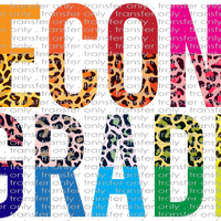 SCH 807 Rainbow Leopard Second Grade