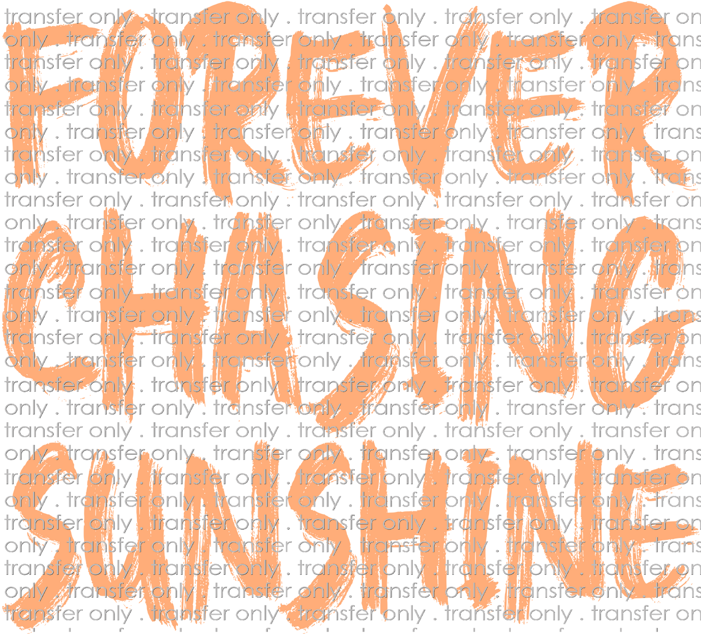 SUM 165 Forever Chasing Sunshine