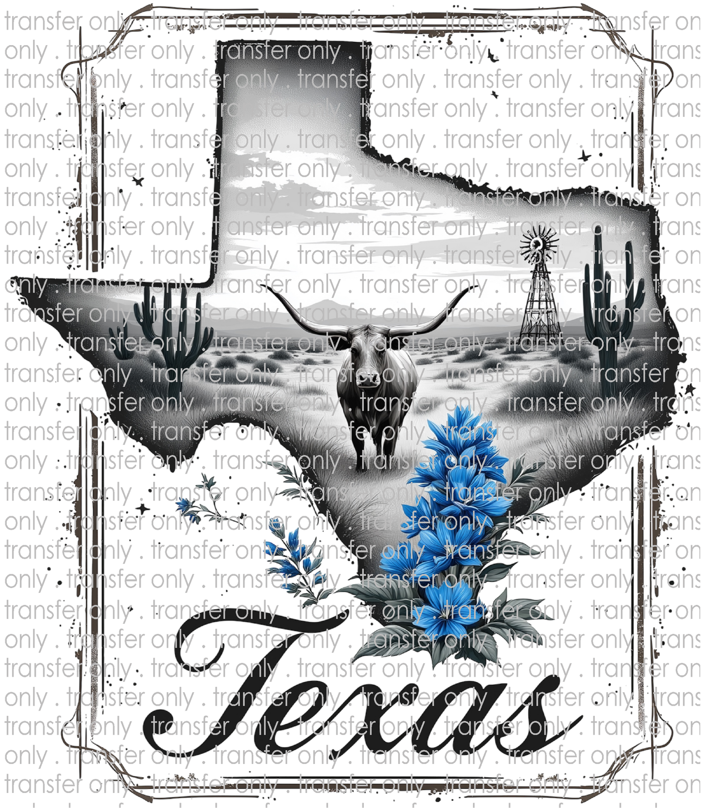 TX 173 Texas Black and White Scene with Blue Bonnets