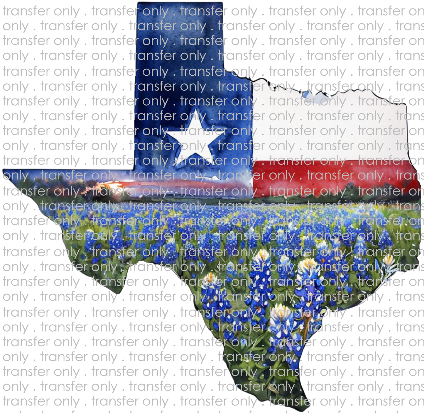 TX 178 Texas with Flag and Blue Bonnets