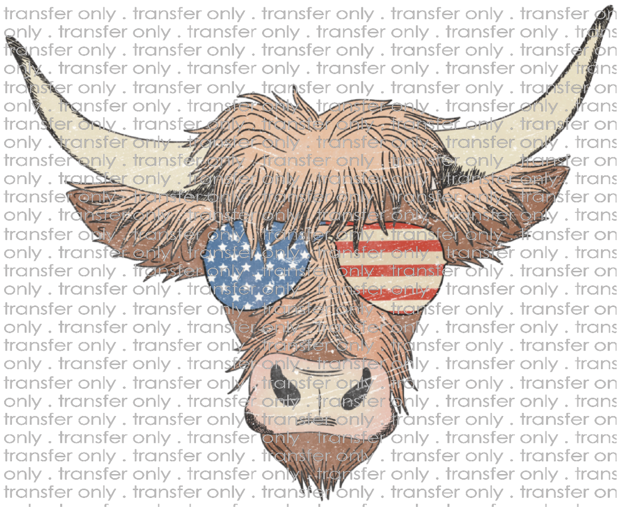 http://tayloredvinyl.com/cdn/shop/files/USA194WMFrontHighlandCowwithFlag_1200x1200.png?v=1687297025