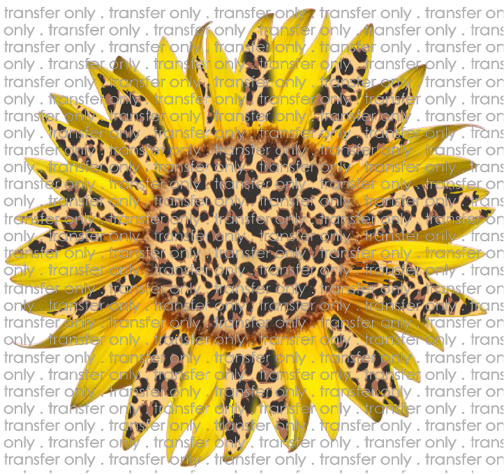 FLW 7 Leopard Sunflower