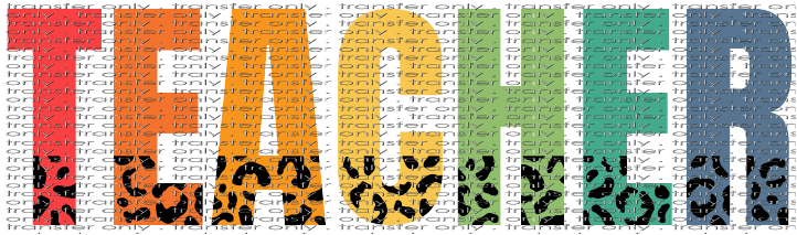 SCH 493 Teacher Bright Colors Leopard