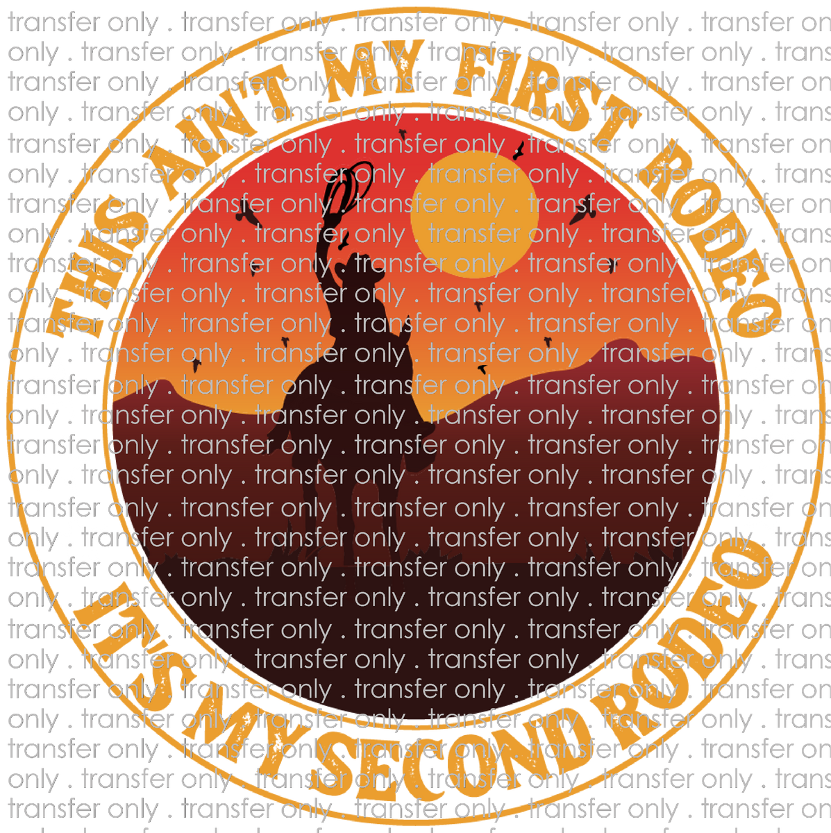 SW 122 This Ain't My First Rodeo Taylored Vinyl