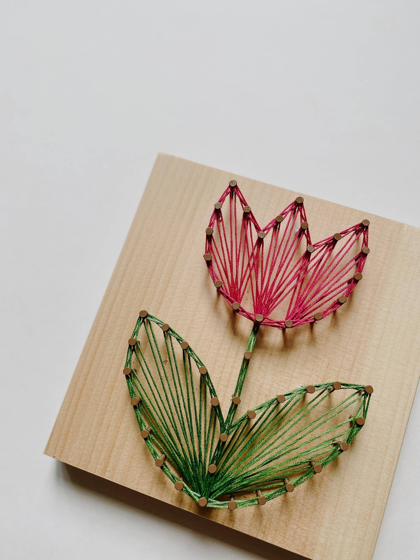 Tulip DIY String Art Kit