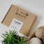 Merry & Bright DIY String Art Kit