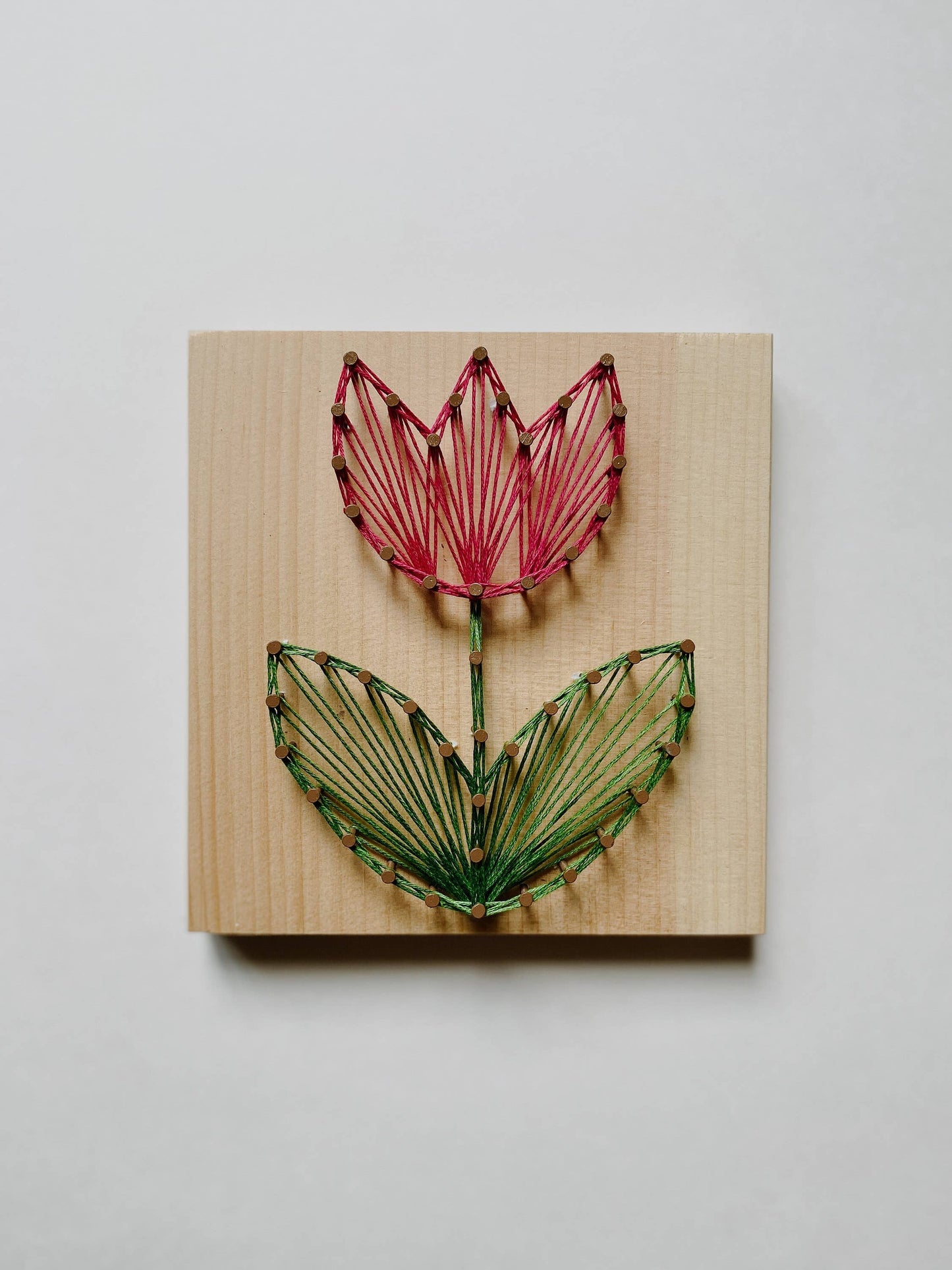 Tulip DIY String Art Kit