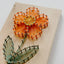 Daisy DIY String Art Kit