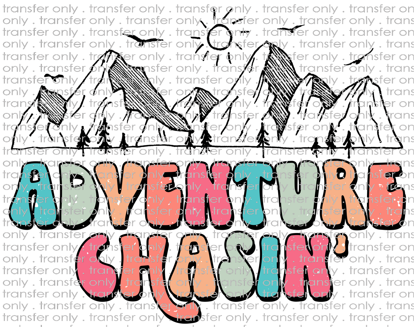 ADV 115 Adventure Chasin