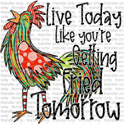 ANM 72 Colorful Chicken Live Today Fried Tomorrow
