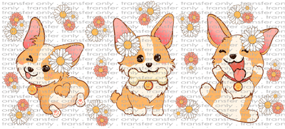 ANM UV 118 Corgi with Daisy UV DTF 16oz Wrap