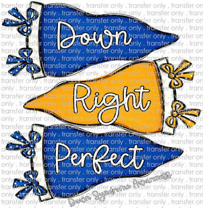 AWR 283 Down Right Perfect Banner