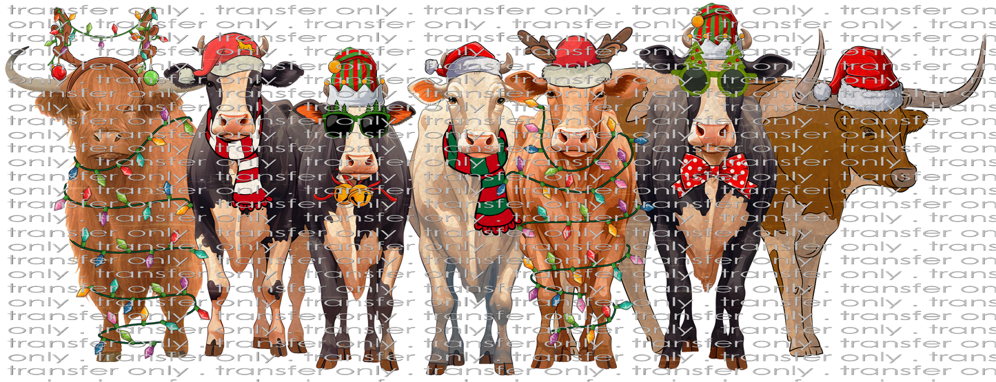 CHR 1002 Christmas Cows