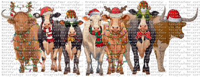 CHR 1002 Christmas Cows