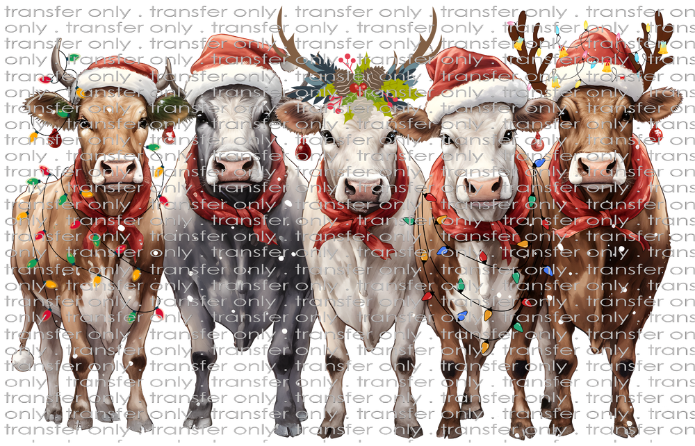 CHR 1076 Christmas Cows 2