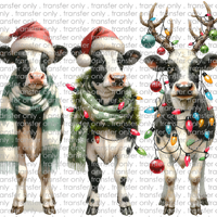CHR 1078 Christmas Calves