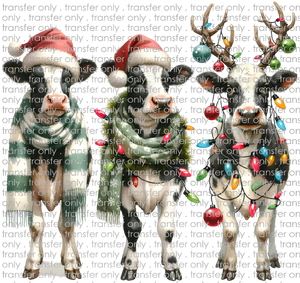CHR 1078 Christmas Calves