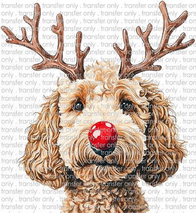 CHR 1359 Doodle Deer