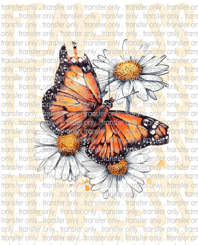 FAITH 240 Fearless Butterfly