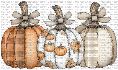 FALL 625 Pumpkin Trio