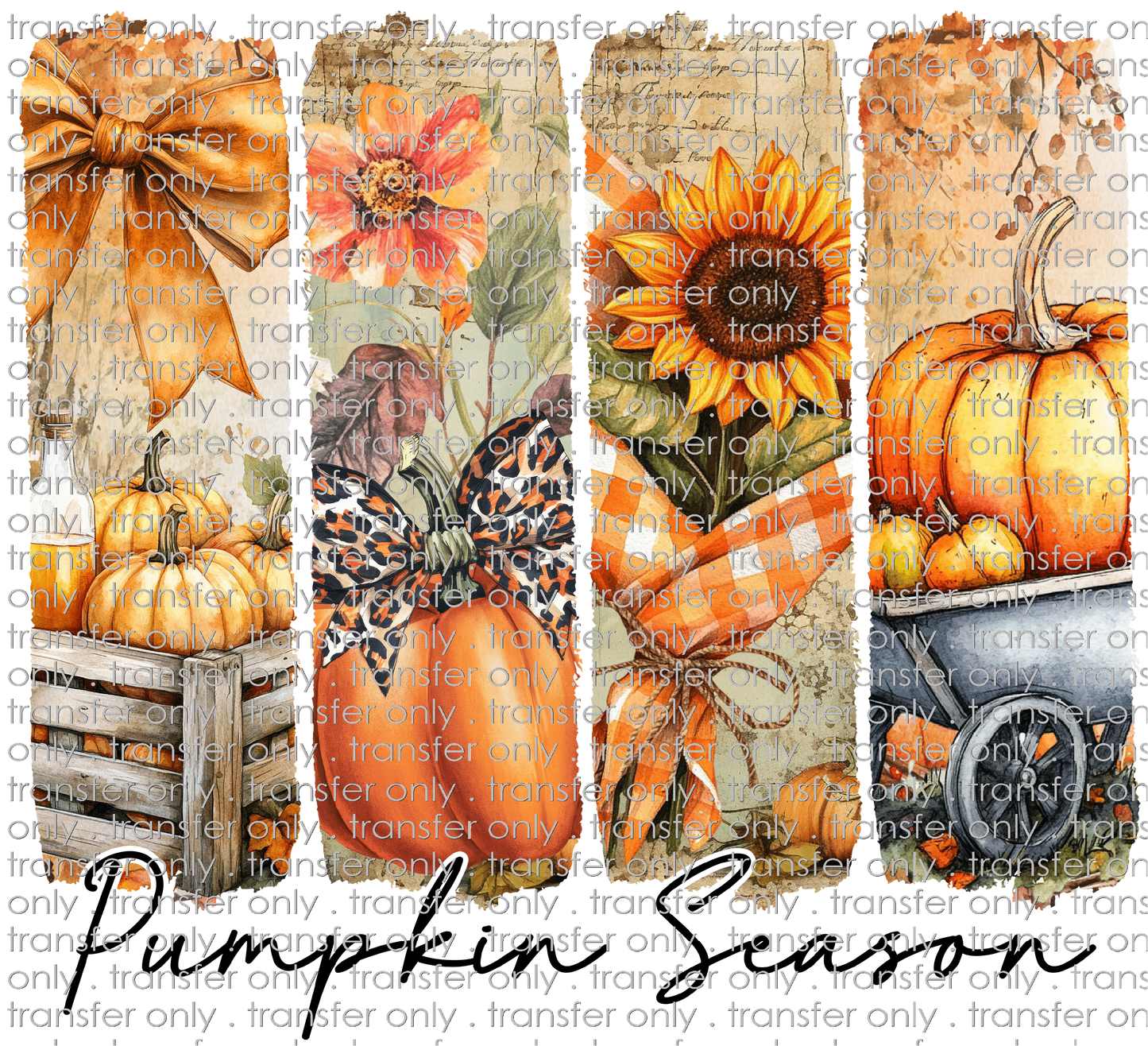 FALL 640 Brush Stroke Pumpkin Season