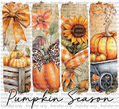 FALL 640 Brush Stroke Pumpkin Season