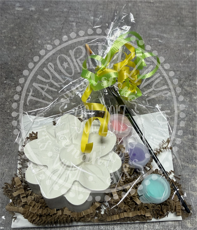 Flower Life Paint Kit