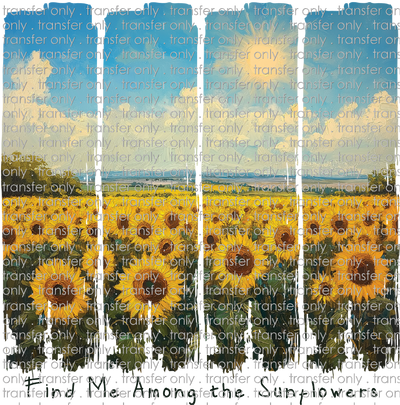 FLW 107 Find Me Among the Sunflowers