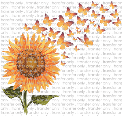 FLW 111 Sunflower to Butterflies