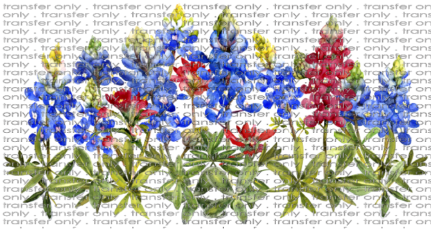 FLW 73 Bluebonnet Arrangement