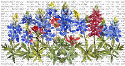 FLW 73 Bluebonnet Arrangement