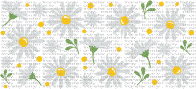 FLW UV 145 White Daisies UV DTF 16oz Wrap