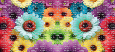 FLW UV 155 Daisy Flowers Colorful UV DTF 16oz Wrap