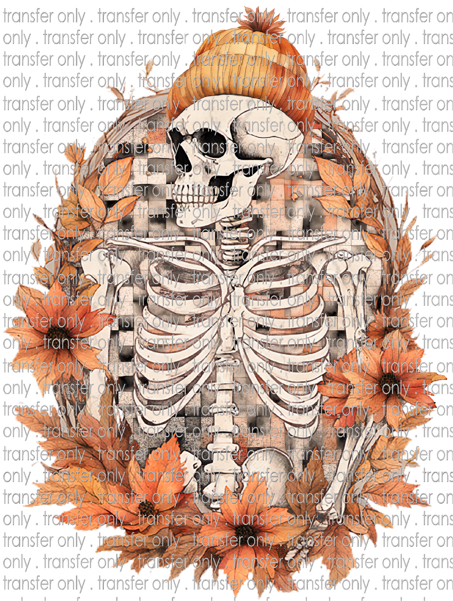 HALLO 231 Fall Skeleton