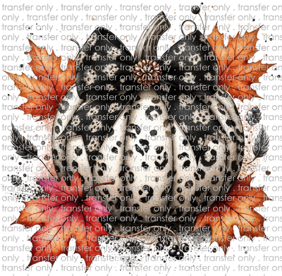 HALLO 277 Black and White Leopard Pumpkin with Leaves