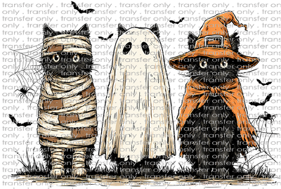 HALLO 354 Mummy Ghost Witch Cats