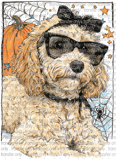HALLO 422 Golden Doodle Halloween