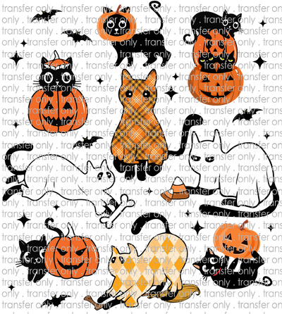 HALLO 429 Cat Halloween
