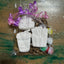 Food Paint Kit