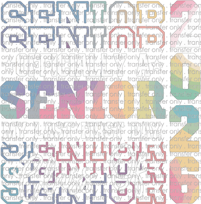 SCH 2166 Officially a Senior 2026 Rainbow