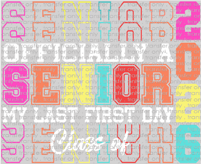 SCH 2197 Senior 2026 First Last Day