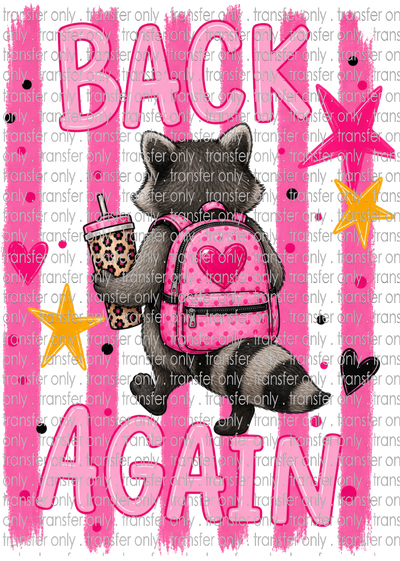 SCH 2337 Raccoon Back Again - Back